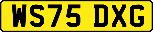 WS75DXG