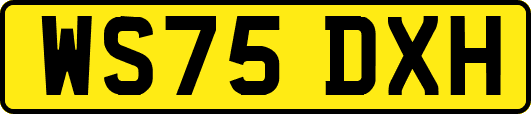 WS75DXH