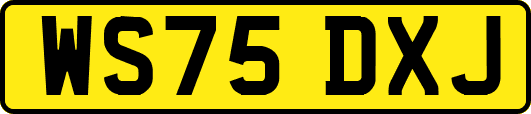 WS75DXJ