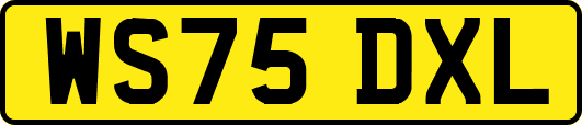 WS75DXL