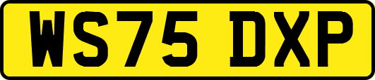 WS75DXP