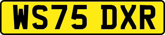 WS75DXR