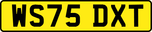 WS75DXT