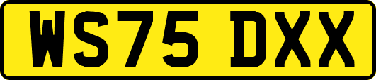 WS75DXX