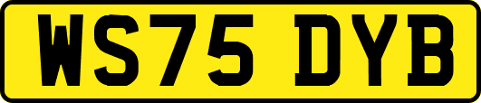 WS75DYB