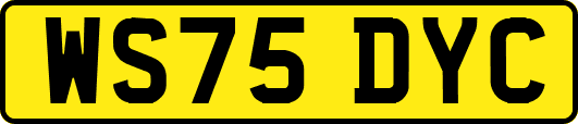 WS75DYC