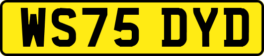 WS75DYD