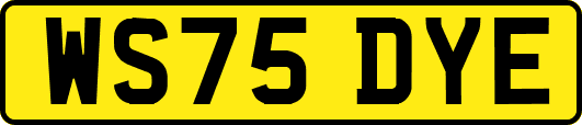 WS75DYE