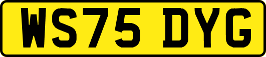 WS75DYG