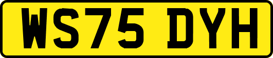 WS75DYH