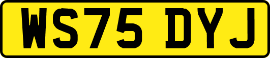 WS75DYJ