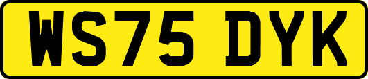 WS75DYK