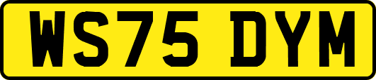 WS75DYM