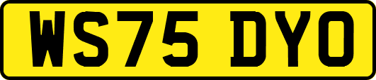 WS75DYO