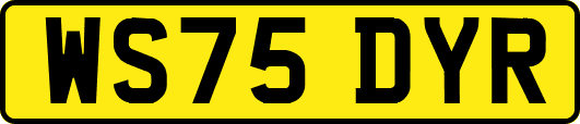 WS75DYR