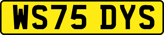 WS75DYS