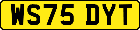 WS75DYT