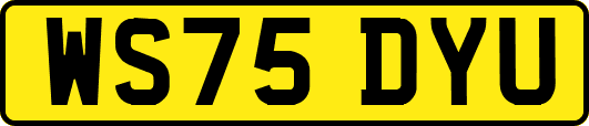 WS75DYU