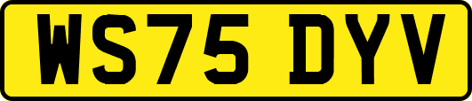 WS75DYV