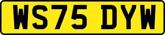 WS75DYW