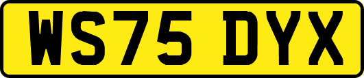 WS75DYX