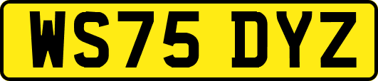 WS75DYZ