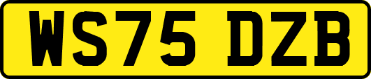 WS75DZB
