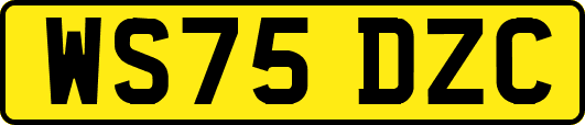 WS75DZC