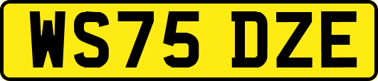 WS75DZE