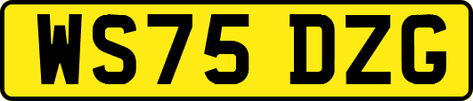 WS75DZG
