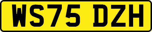WS75DZH