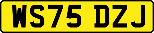 WS75DZJ