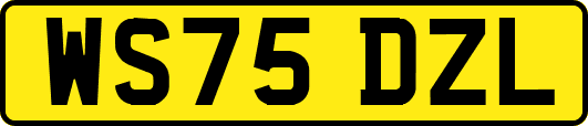 WS75DZL