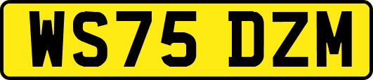 WS75DZM