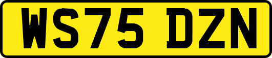 WS75DZN