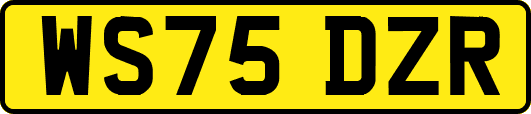WS75DZR