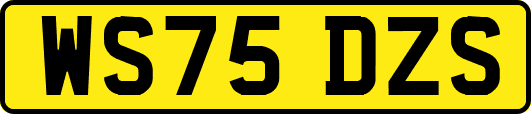 WS75DZS