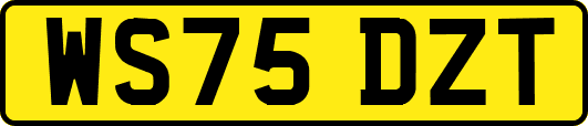 WS75DZT