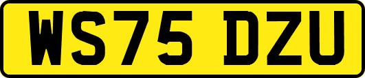 WS75DZU