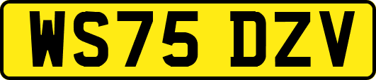 WS75DZV