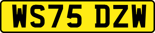 WS75DZW