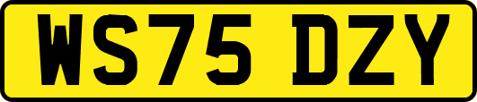 WS75DZY