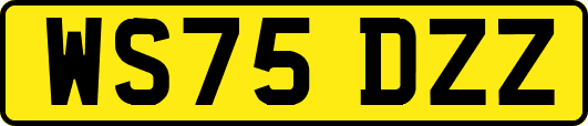 WS75DZZ