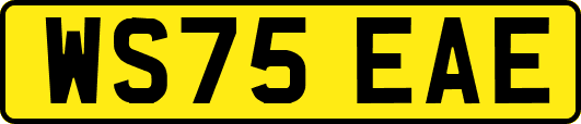 WS75EAE