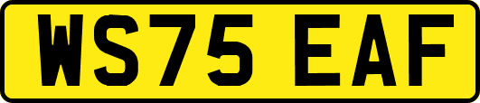 WS75EAF