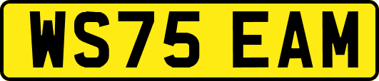 WS75EAM
