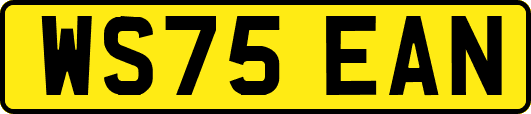 WS75EAN