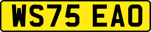 WS75EAO