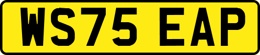 WS75EAP