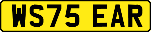 WS75EAR